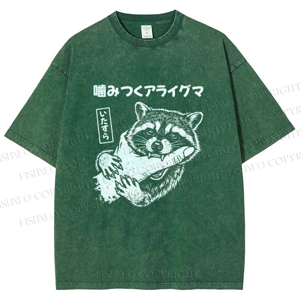 Unisex Mischief Raccoon Printed Washed Tee