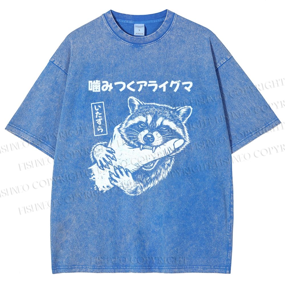Unisex Mischief Raccoon Printed Washed Tee