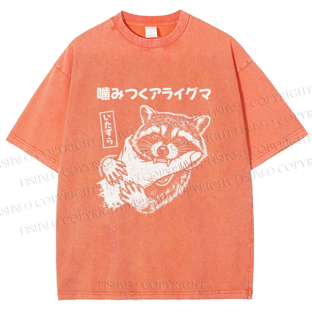 Unisex Mischief Raccoon Printed Washed Tee