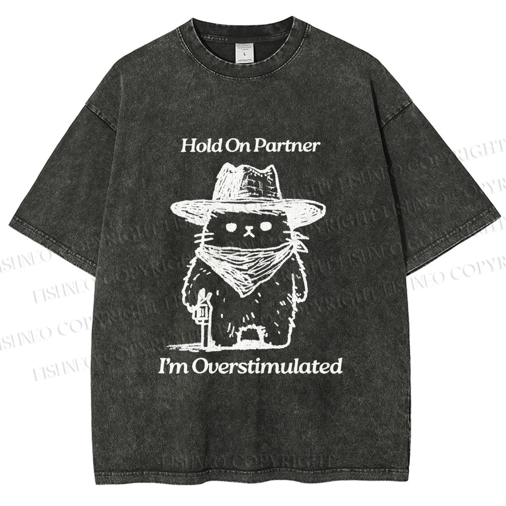 Unisex Overstimulated Cowboy Cat Printed Washed Tee