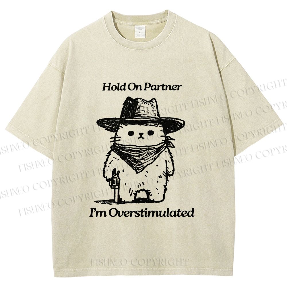 Unisex Overstimulated Cowboy Cat Printed Washed Tee