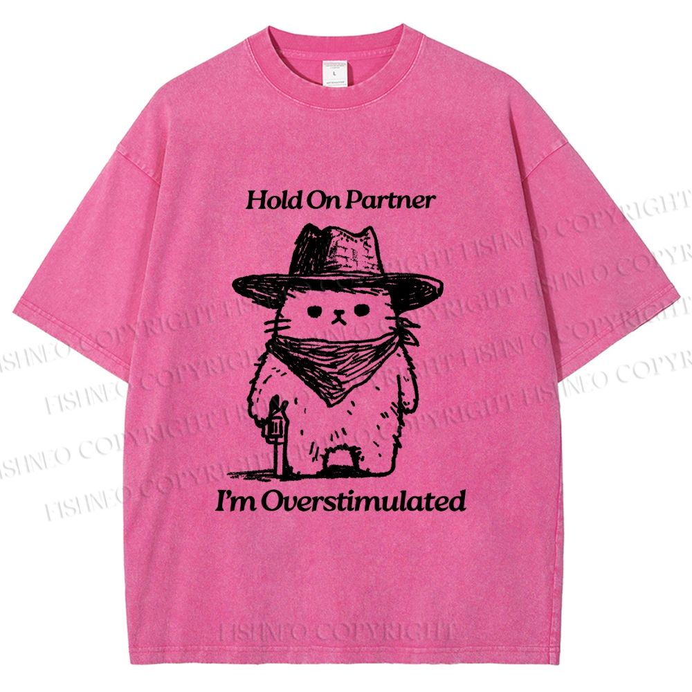 Unisex Overstimulated Cowboy Cat Printed Washed Tee