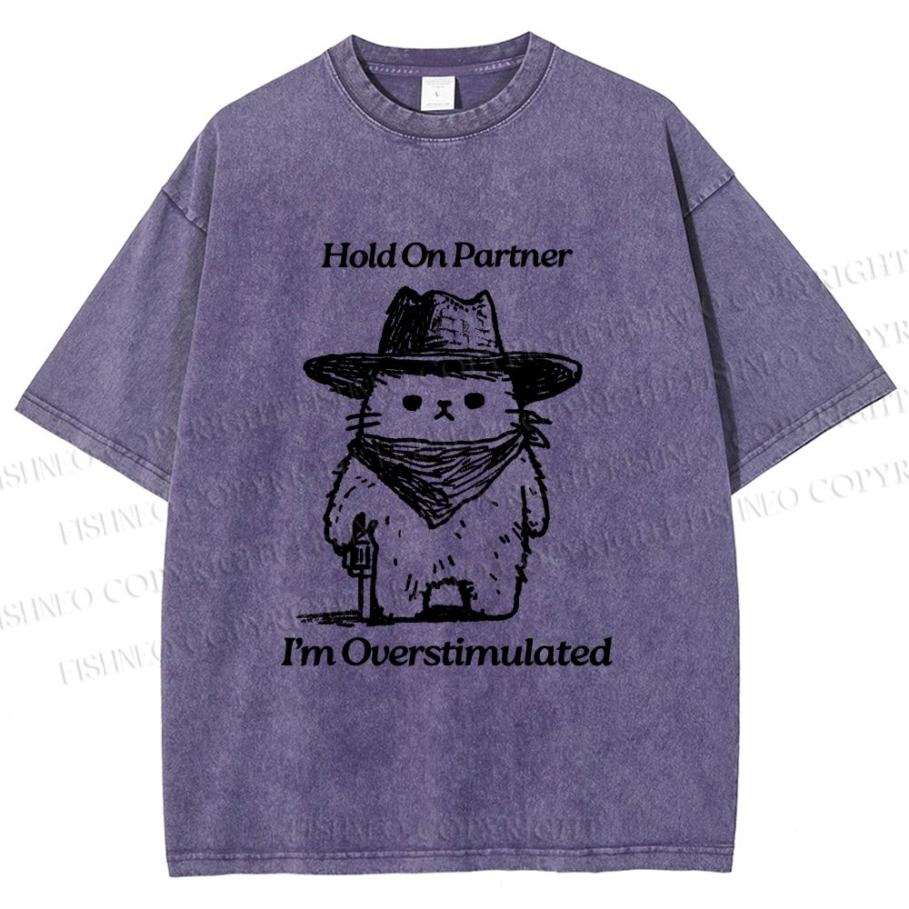 Unisex Overstimulated Cowboy Cat Printed Washed Tee