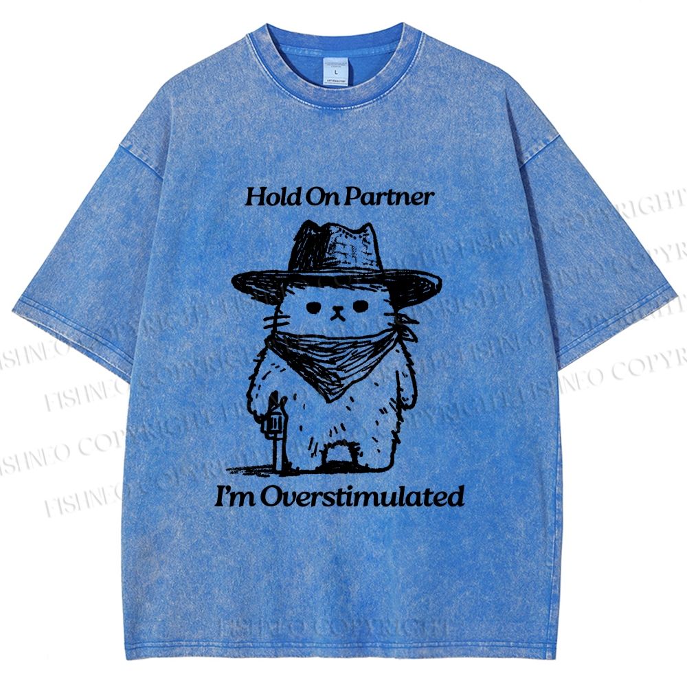 Unisex Overstimulated Cowboy Cat Printed Washed Tee
