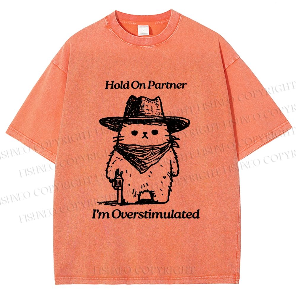 Unisex Overstimulated Cowboy Cat Printed Washed Tee