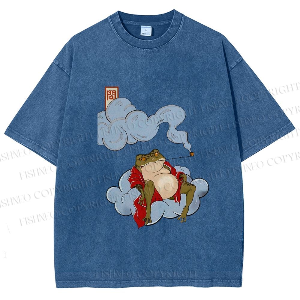 Unisex Japanese Frog Relaxing in Clouds Printed Washed Tee