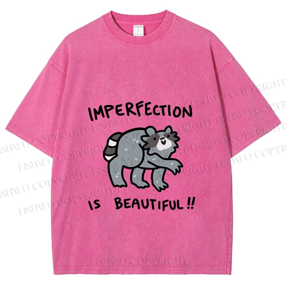 Unisex Raccoon Imperfection Is Beautiful Printed Washed Tee