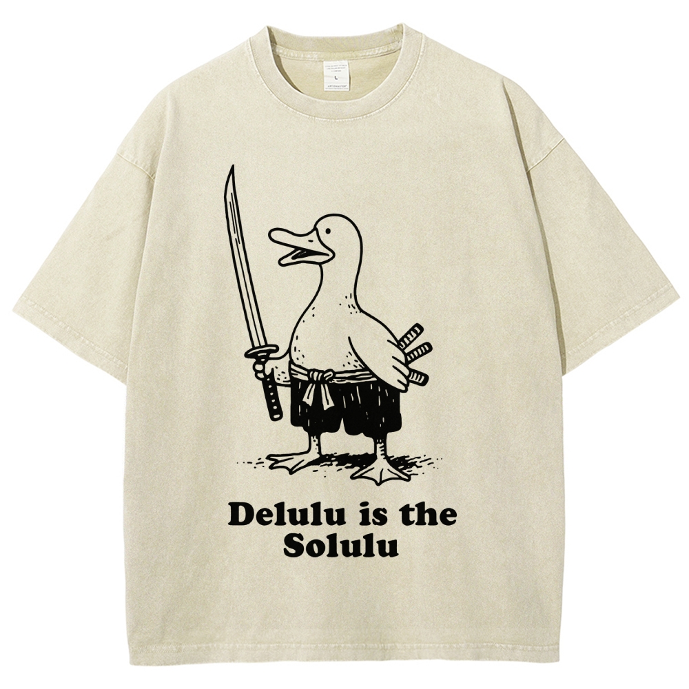 Delulu Is The Solulu Funny Goose Vintage Washed T-shirt