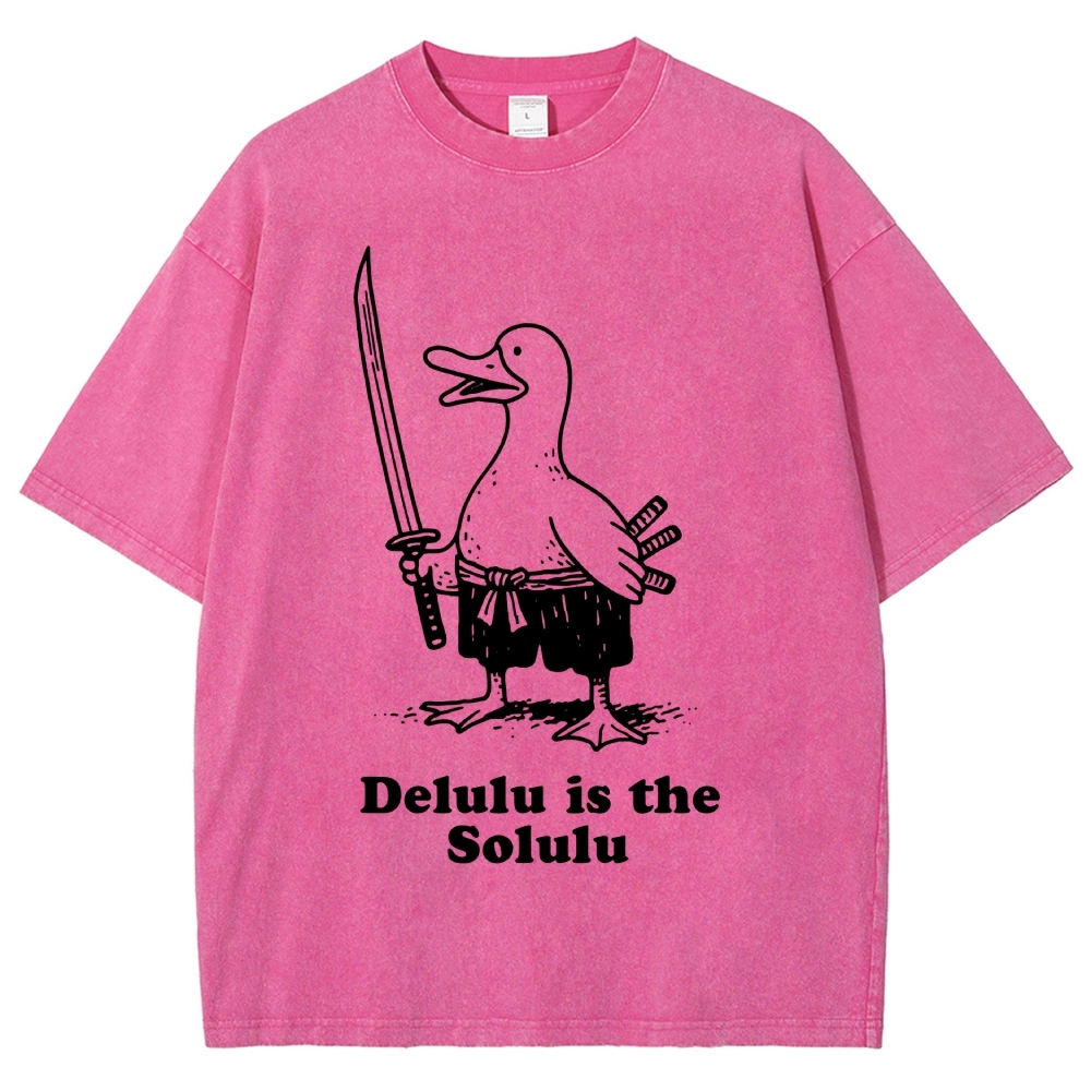 Delulu Is The Solulu Funny Goose Vintage Washed T-shirt