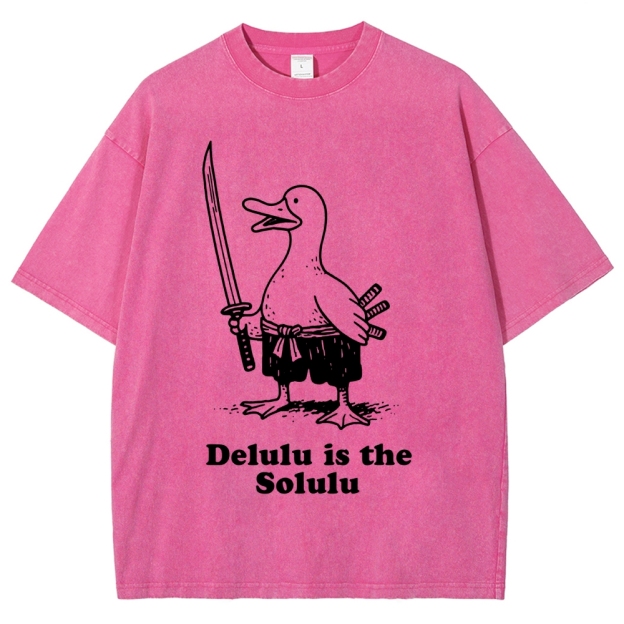 Delulu Is The Solulu Funny Goose Vintage Washed T-shirt