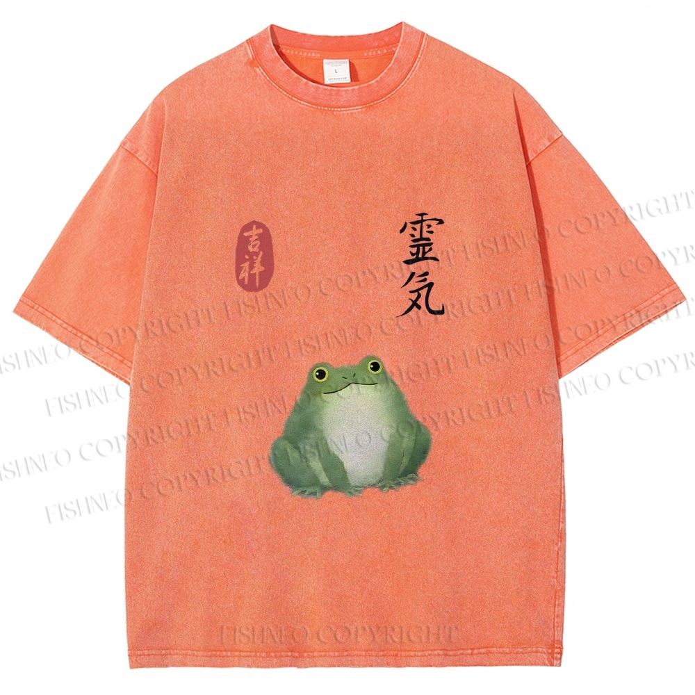 Unisex Energetic Frog Printed Washed Tee