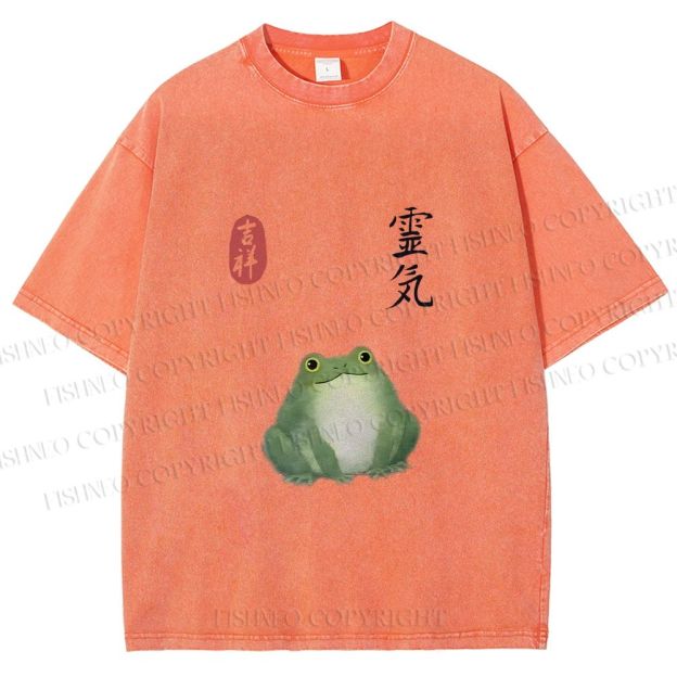 Unisex Energetic Frog Printed Washed Tee