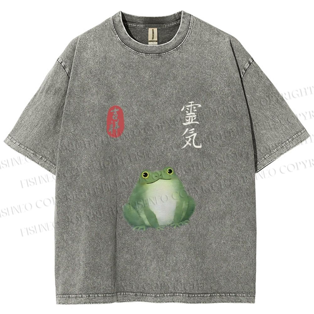 Unisex Energetic Frog Printed Washed Tee