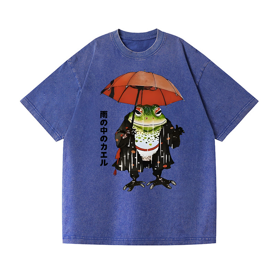 Frog In The Rain Vintage Wash Japanese Design T-Shirt