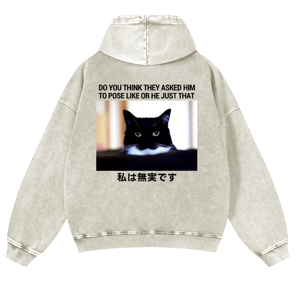 Cat Vintage Washed Cotton Back Art Hoodie