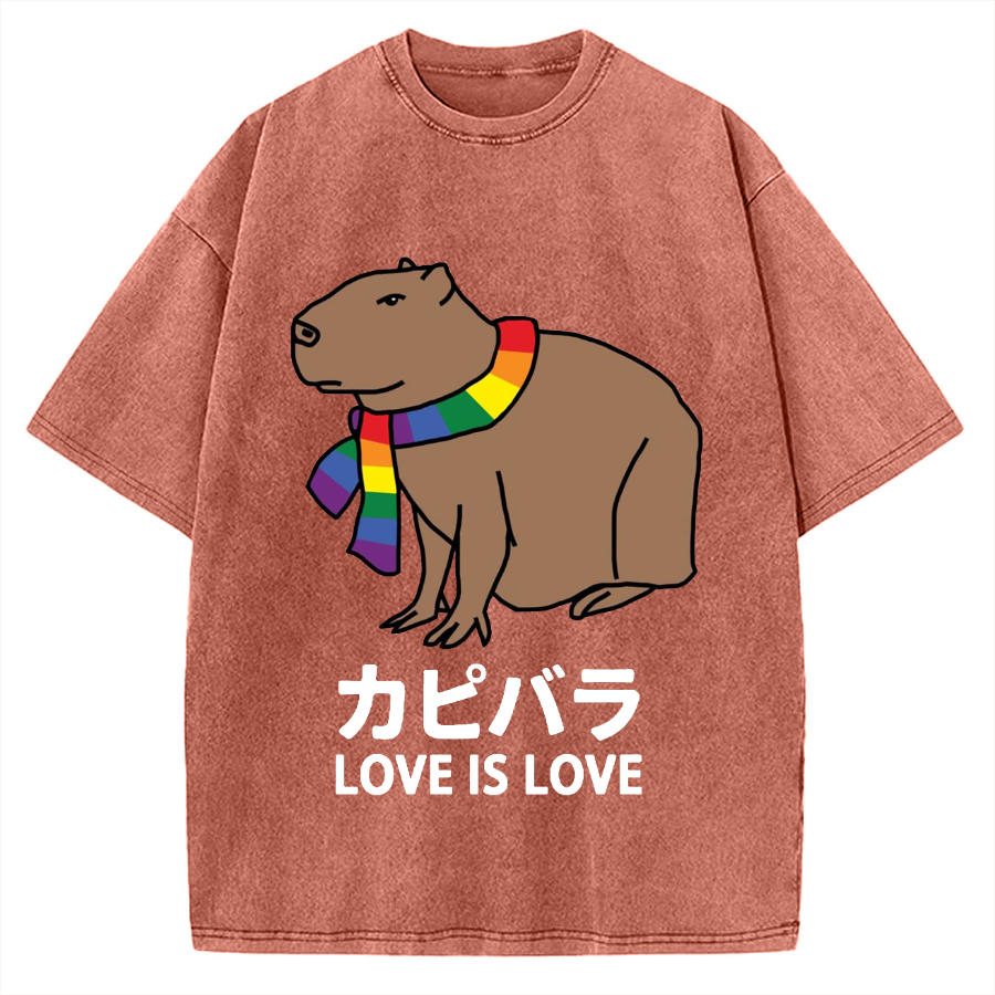 Capybara With Love Vintage Washed T-shirt