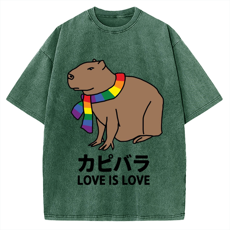 Capybara With Love Vintage Washed T-shirt