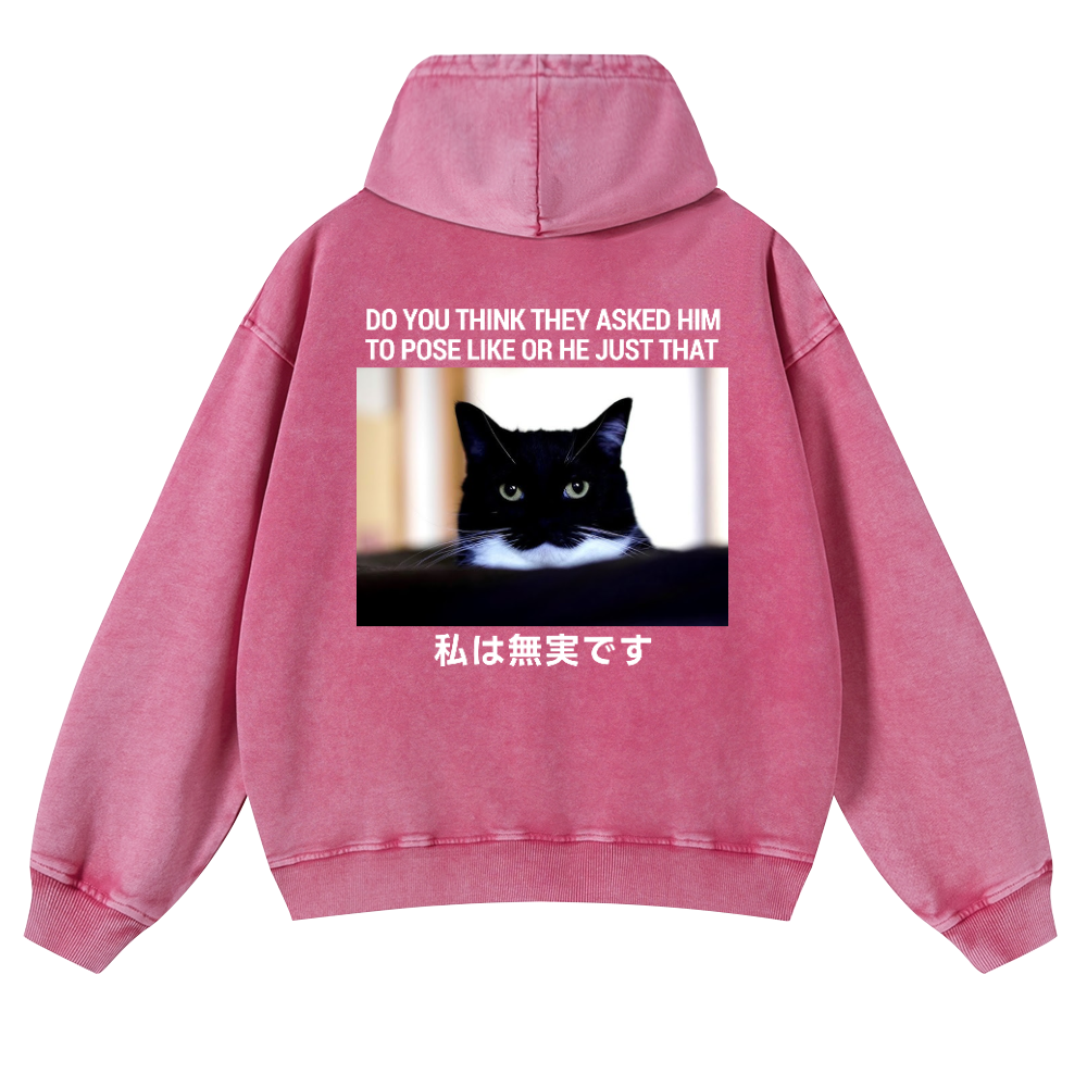 Cat Vintage Washed Cotton Back Art Hoodie