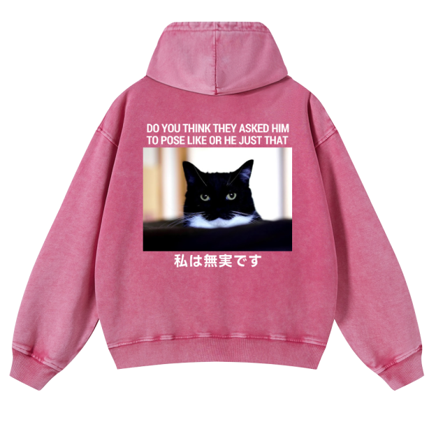 Cat Vintage Washed Cotton Back Art Hoodie