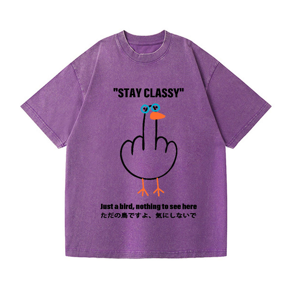 Stay Classy Goose Bird Vintage Wash Japanese Design T-Shirt