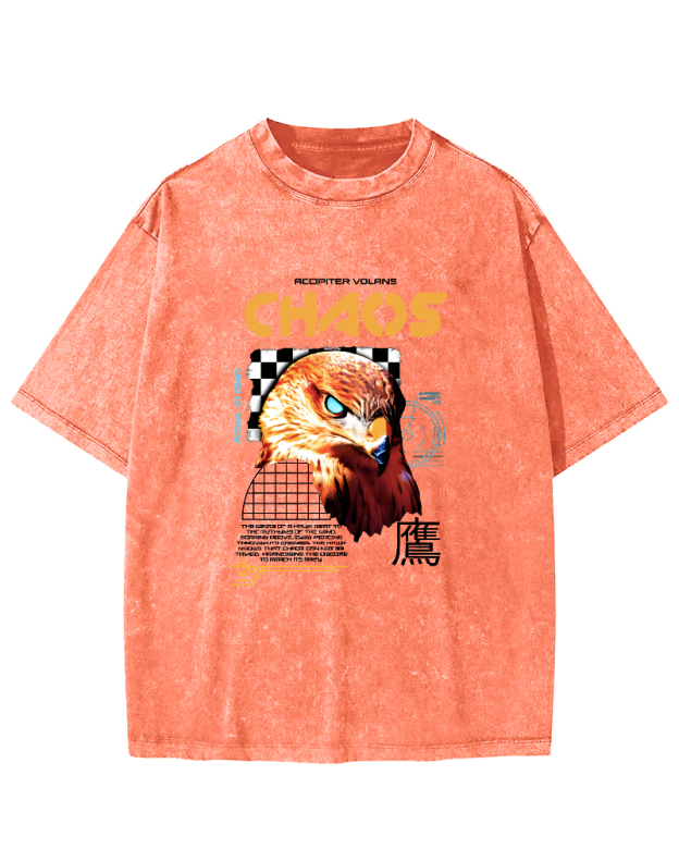 Japanese Eagle Pattern Vintage Distressed T-shirt