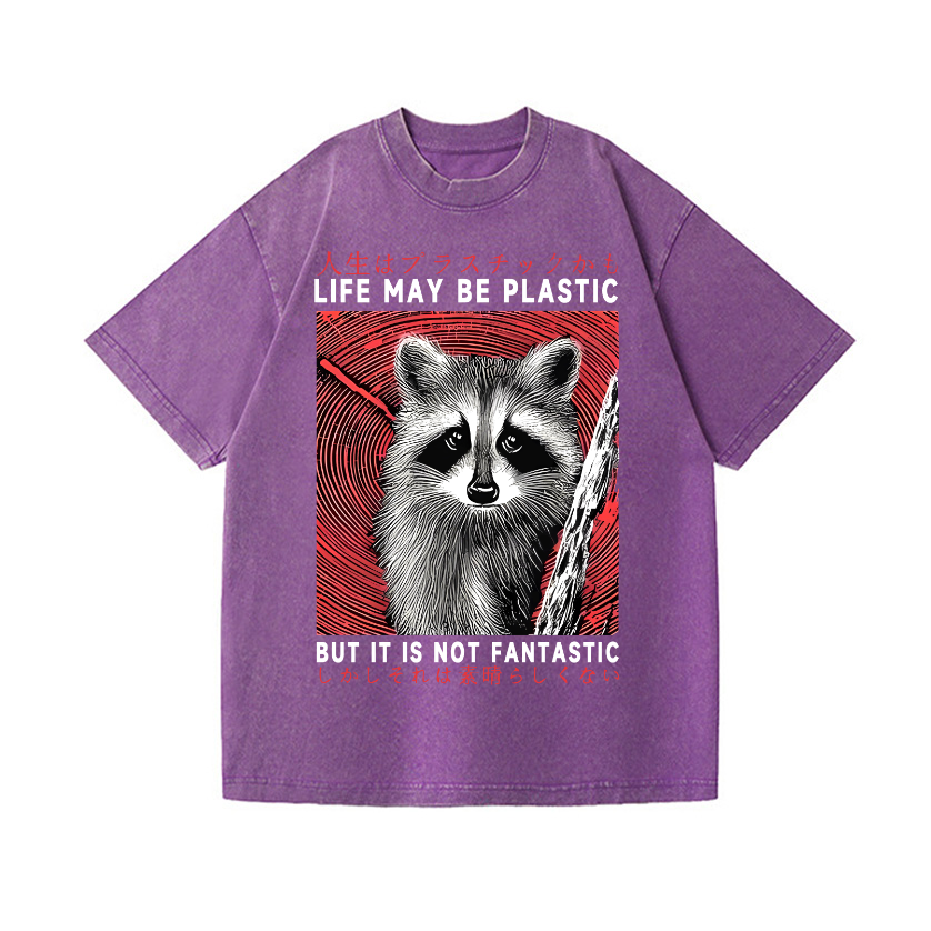 Raccoon Vintage Wash Japanese Design T-Shirt