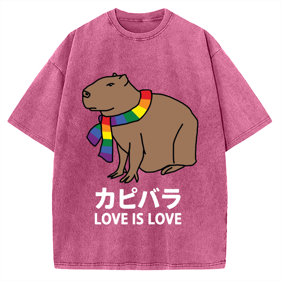 Capybara With Love Vintage Washed T-shirt