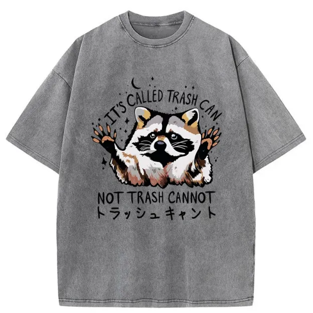 Adorable Raccoon Washed T-Shirt