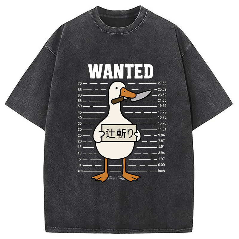Wanted Silly Goose Washed T-Shirt