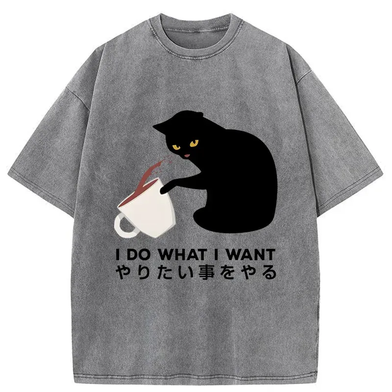 Tsundere Cat Funny Washed T-Shirt
