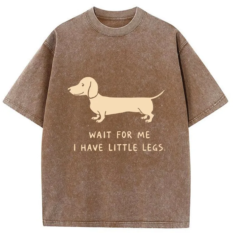Unisex Wait For The Dachshund Washed T-Shirt