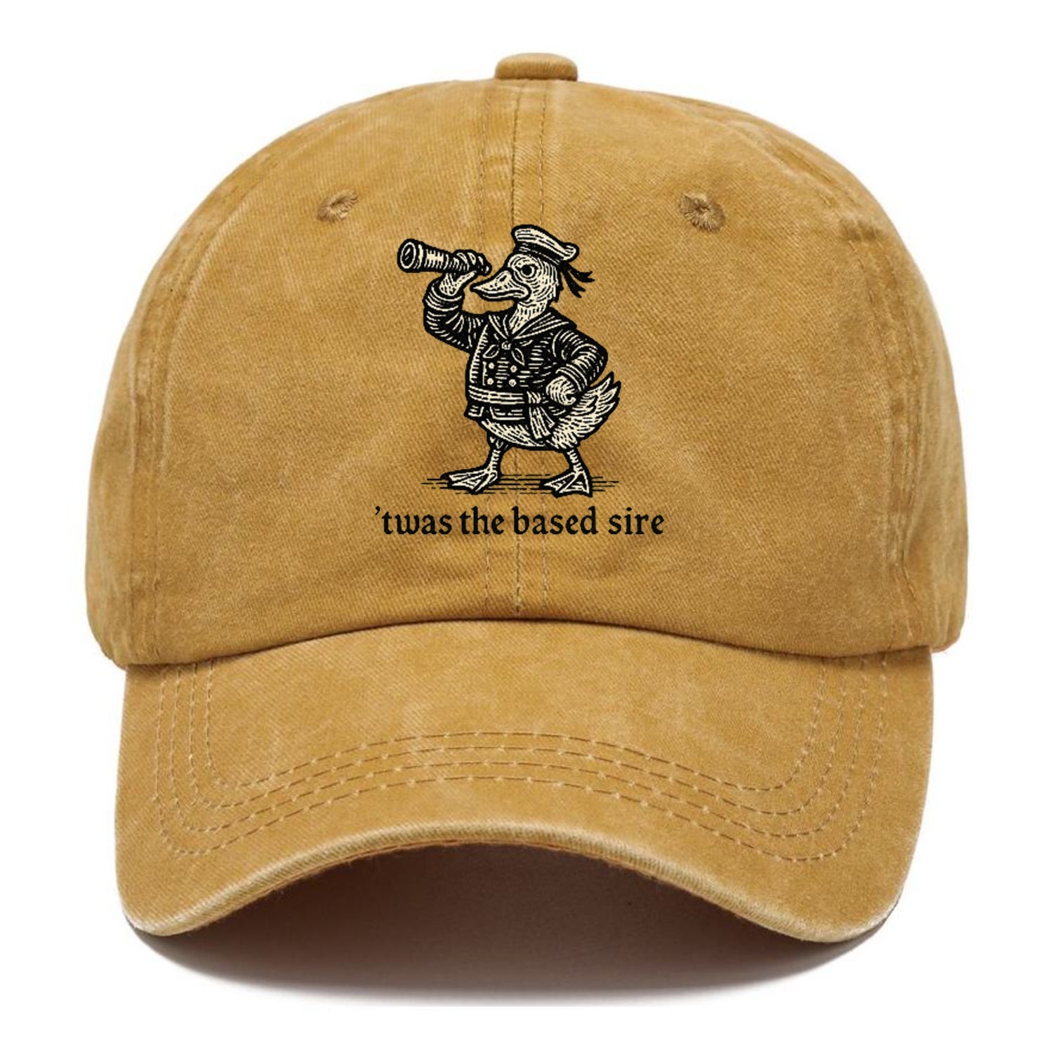 The Based Sire Washed Cap