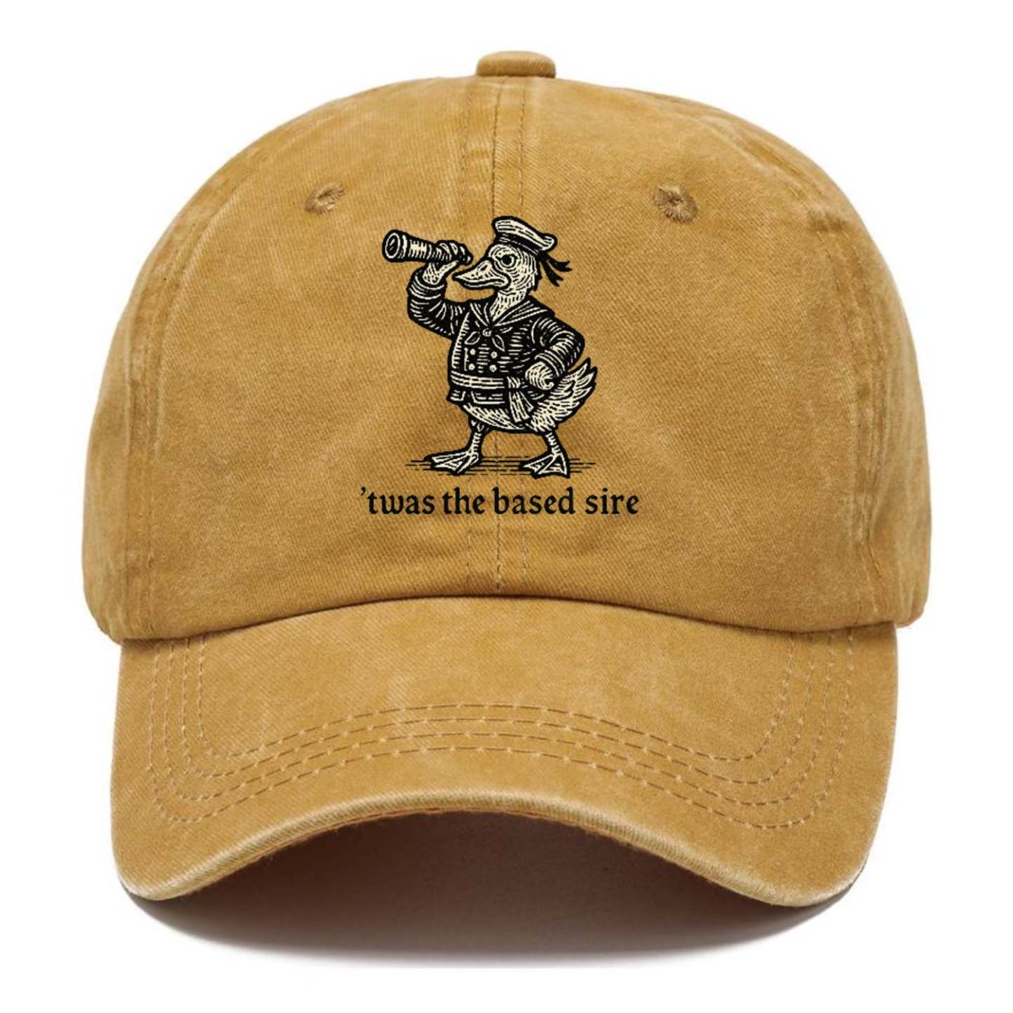 The Based Sire Washed Cap