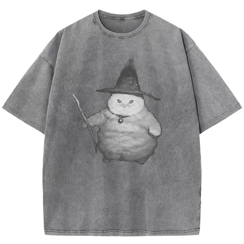  Wizard Cat Washed T-Shirt