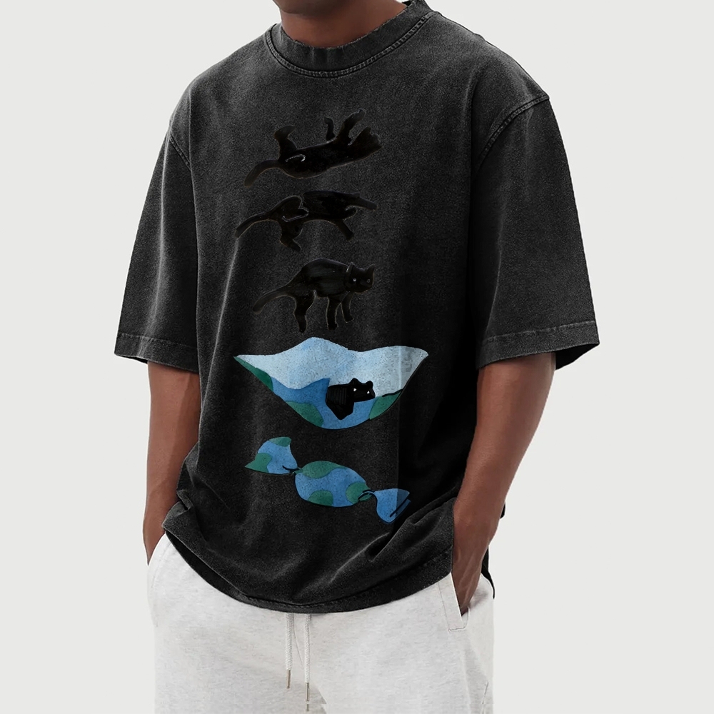 Cat Landing Washed Vintage Short Sleeves T-Shirt