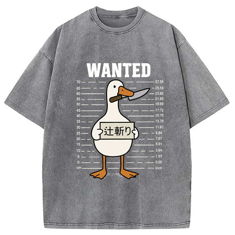 Wanted Silly Goose Washed T-Shirt