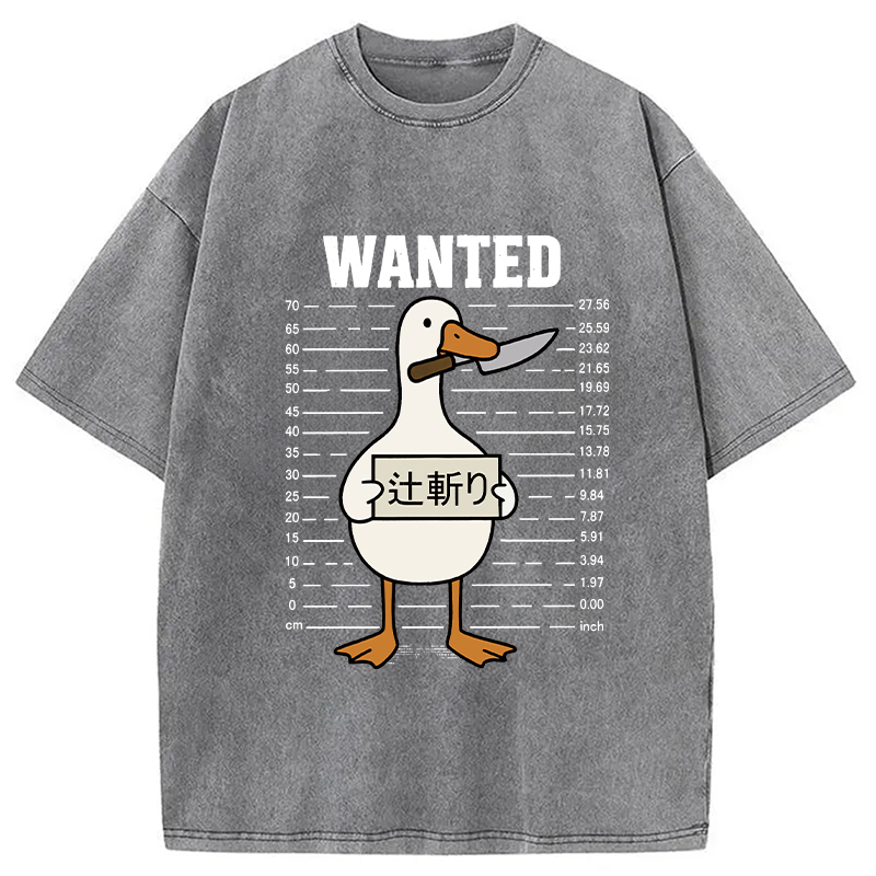 Wanted Silly Goose Washed T-Shirt