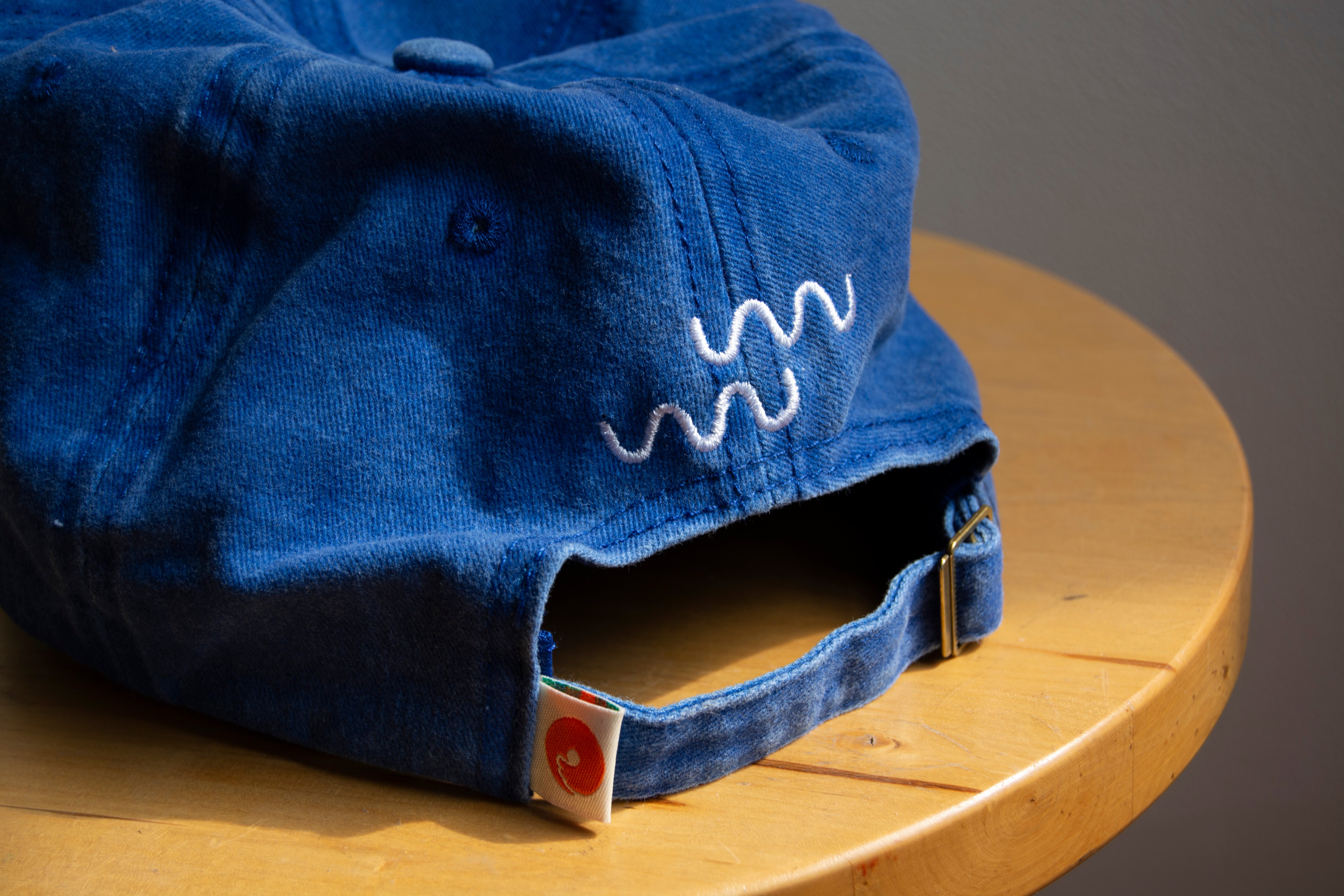 Fish Word Embroidered Dad Hat