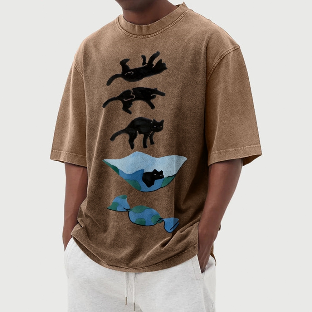 Cat Landing Washed Vintage Short Sleeves T-Shirt