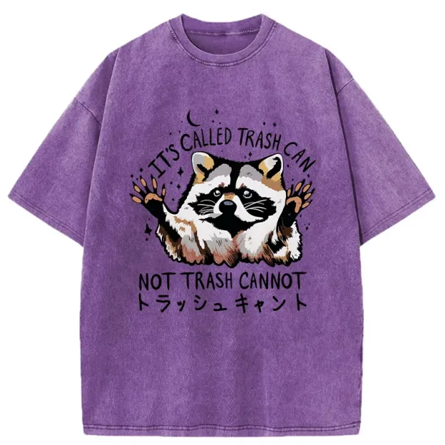 Adorable Raccoon Washed T-Shirt
