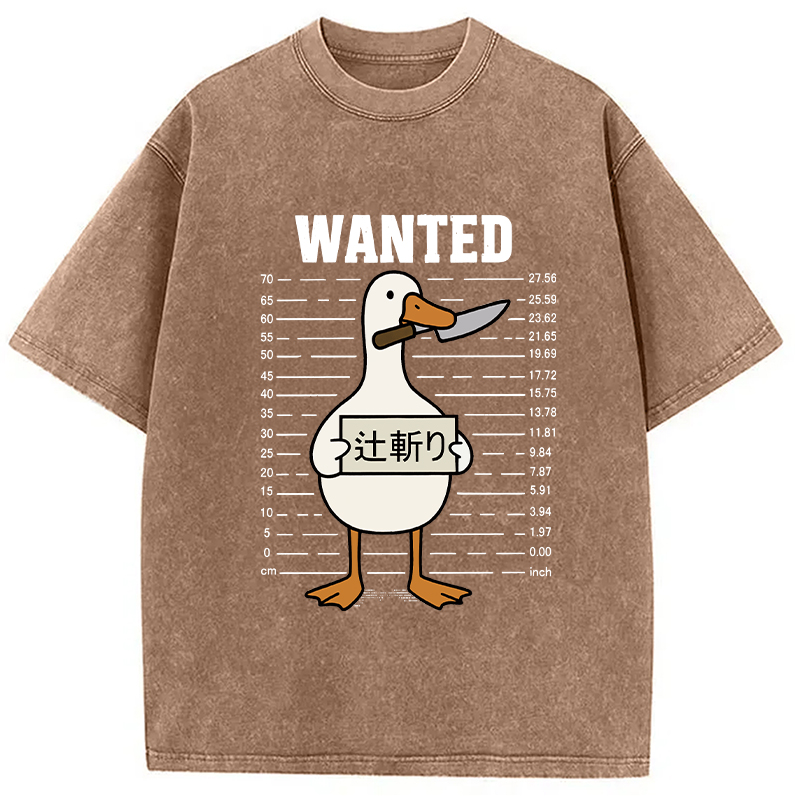 Wanted Silly Goose Washed T-Shirt