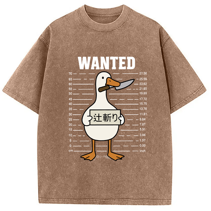 Wanted Silly Goose Washed T-Shirt