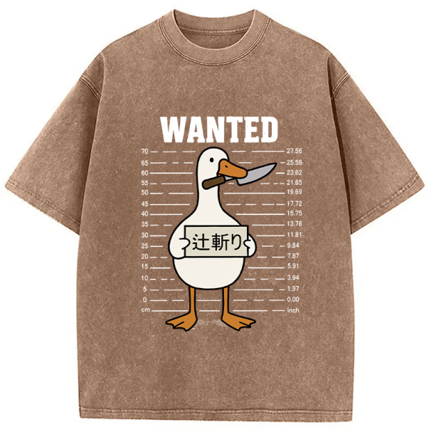 Wanted Silly Goose Washed T-Shirt