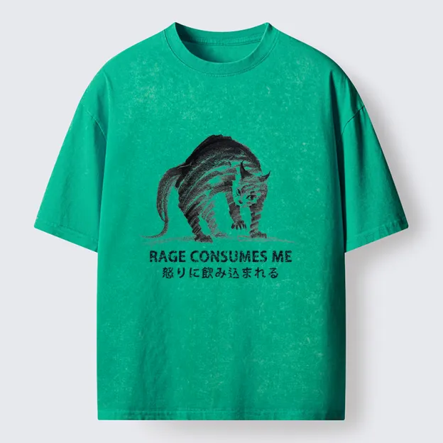 Unisex Rage Consumes Cat Washed T-Shirt