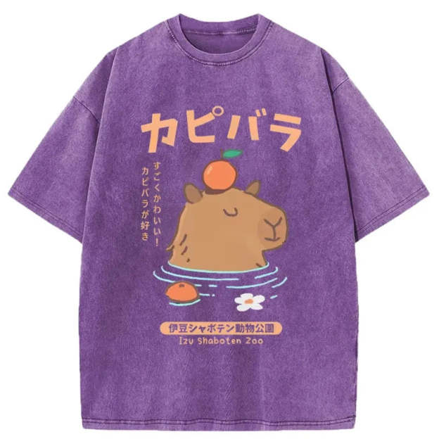 Capybara Soaking In Hot Springs Washed T-Shirt