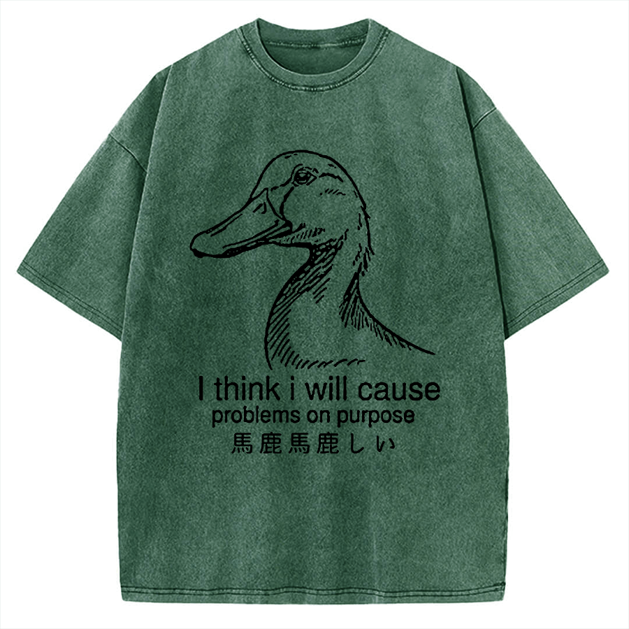 Funny Goose Vintage Washed T-shirt