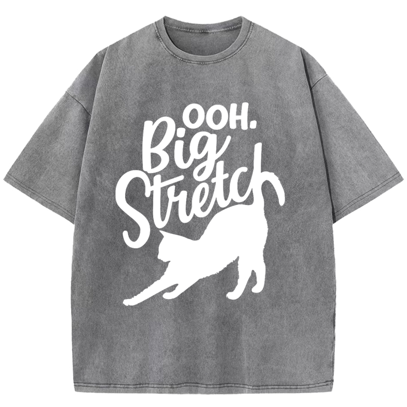  Big Stretch Washed T-Shirt
