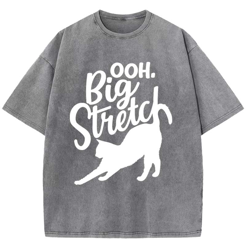  Big Stretch Washed T-Shirt