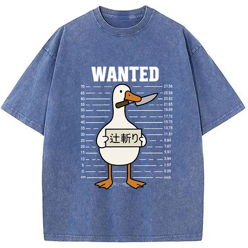 Wanted Silly Goose Washed T-Shirt