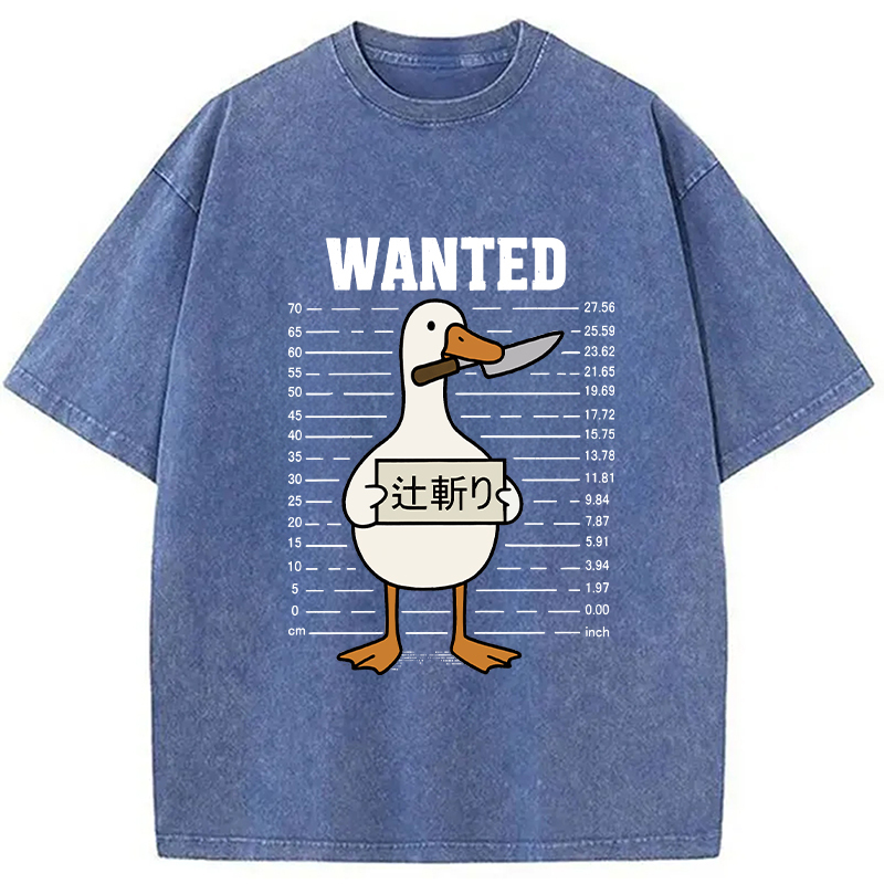 Wanted Silly Goose Washed T-Shirt